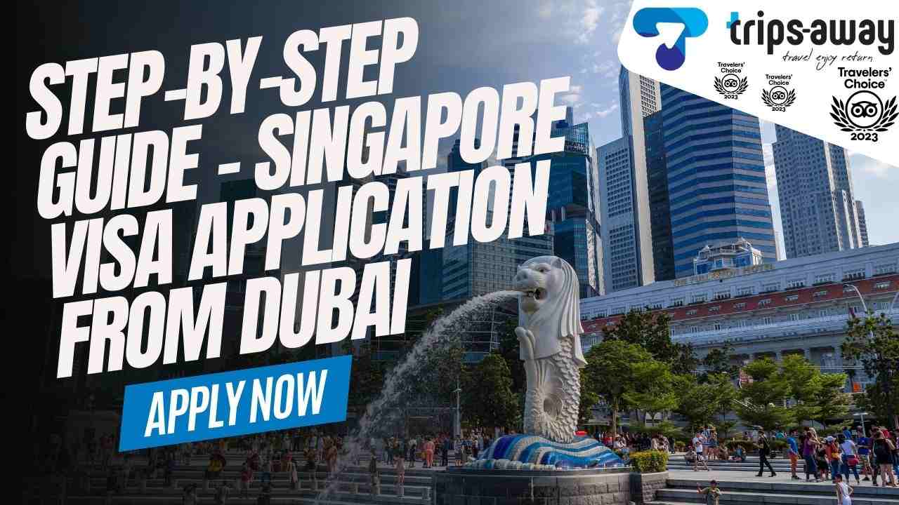 Singapore Visa Application from Dubai image